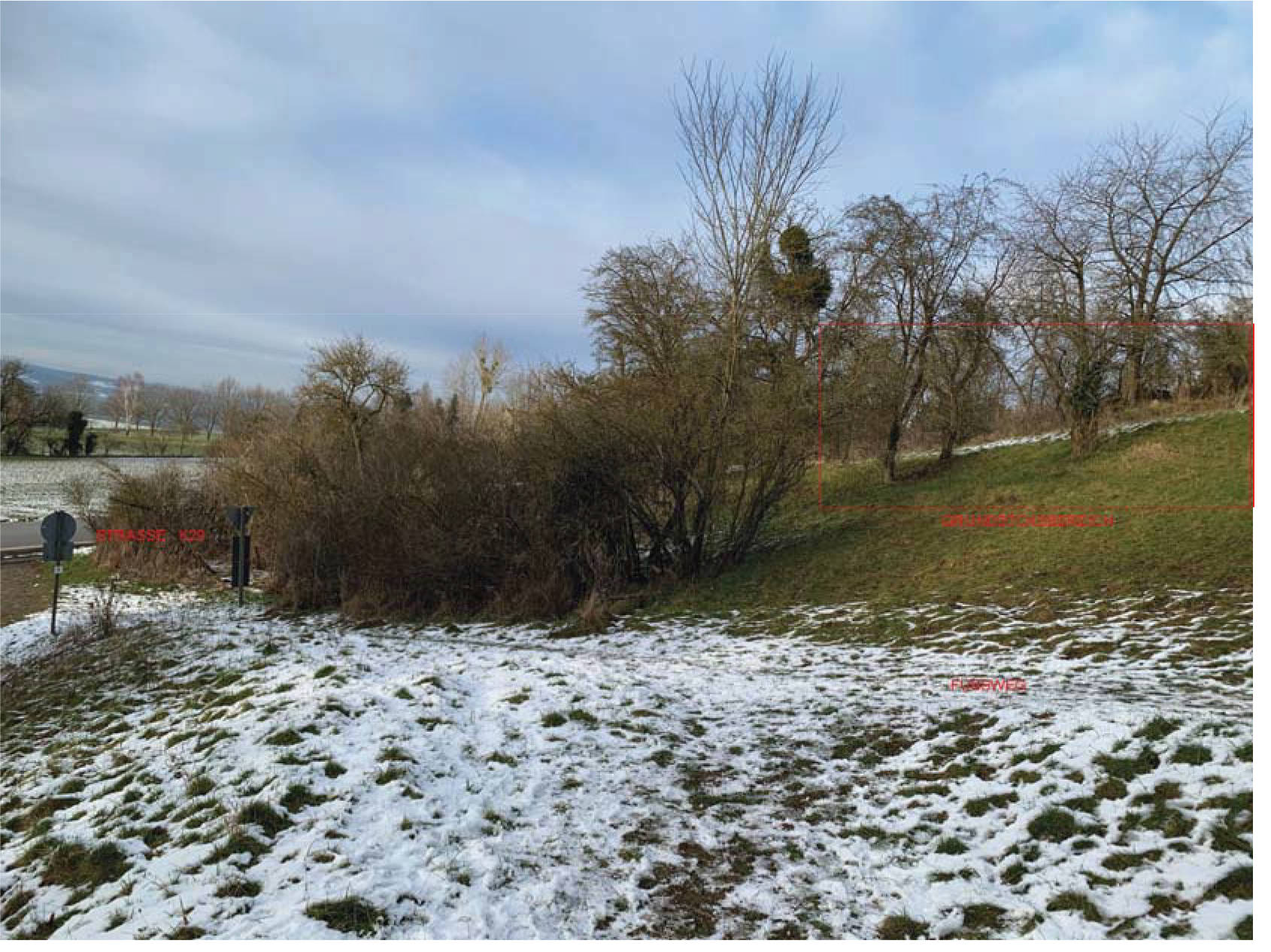 land- und forstwirtschaftlich genutztes Grundstück in Grünland, Unterm Schloß, 35287 Amöneburg - Bild 3