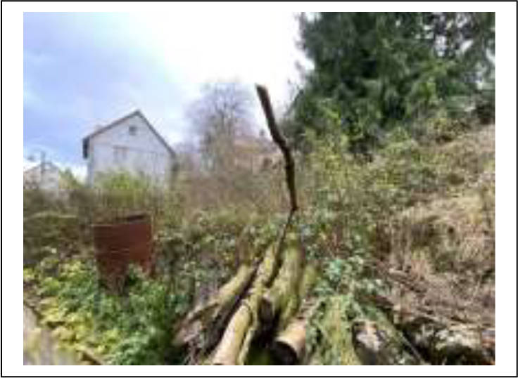 hessen 0041 K 0028/2024 Männerstatt 4a, 35288 Wohratal, Wohra 9