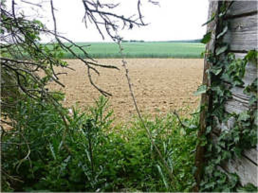 hessen 0042 K 0002/2025 Rendeler Pfad 11,13,15, 61137 Schöneck, Büdesheim 7