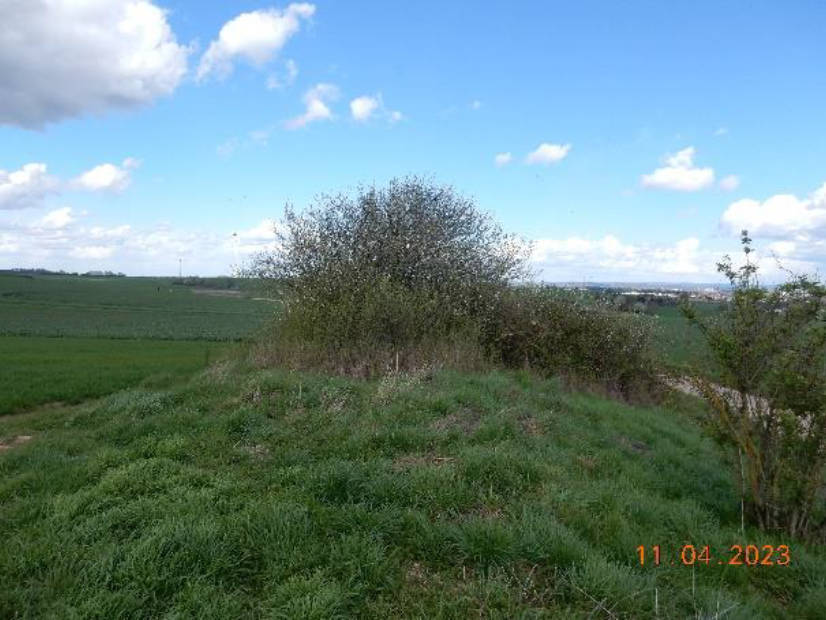 land- und forstwirtschaftlich genutztes Grundstück in Am Hühnergrund, 63477 Maintal, Wachenbuchen