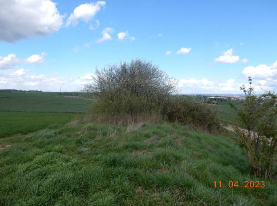 land- und forstwirtschaftlich genutztes Grundstück in Am Hühnergrund, 63477 Maintal, Wachenbuchen - Bild 3
