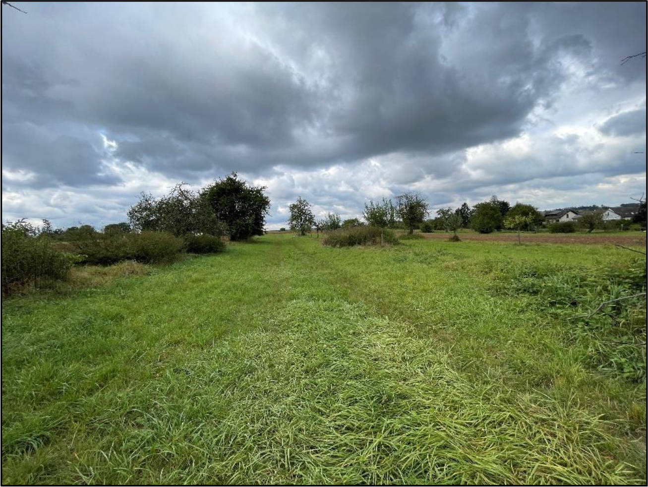 land- und forstwirtschaftlich genutztes Grundstück in auf dem Gleichen, 63486 Bruchköbel, Oberissigheim - Bild 3