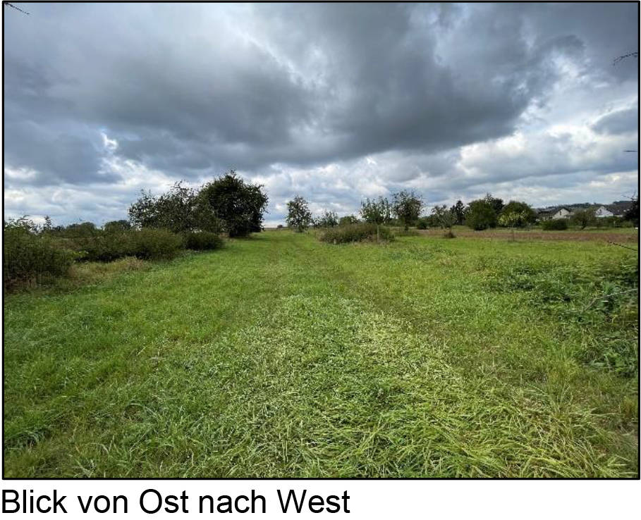 land- und forstwirtschaftlich genutztes Grundstück in auf dem Gleichen, 63486 Bruchköbel, Oberissigheim - Bild 4