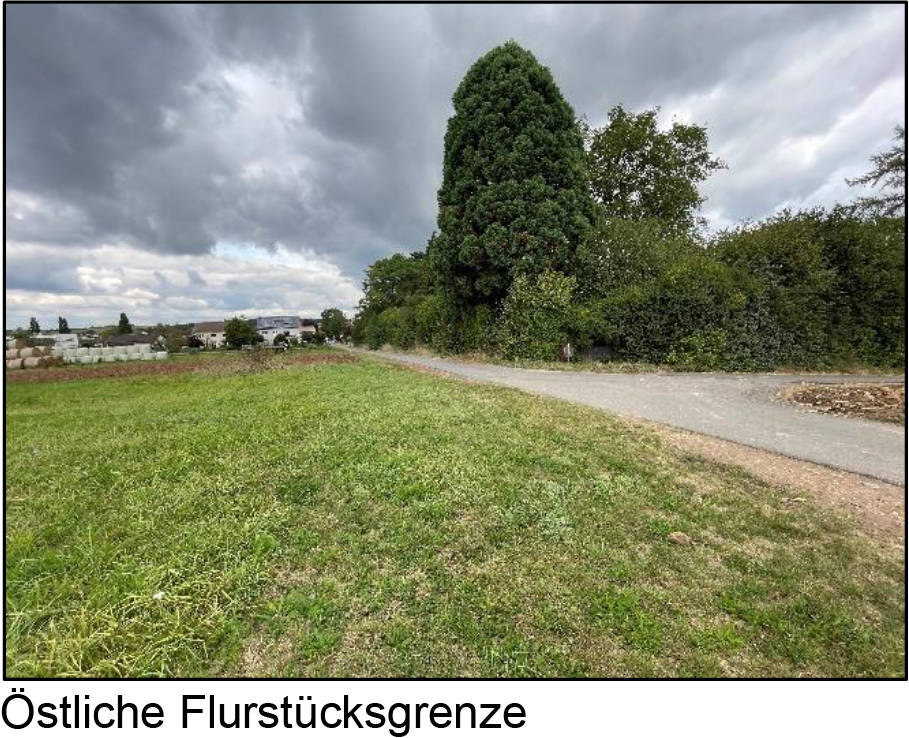 land- und forstwirtschaftlich genutztes Grundstück in auf dem Gleichen, 63486 Bruchköbel, Oberissigheim - Bild 5