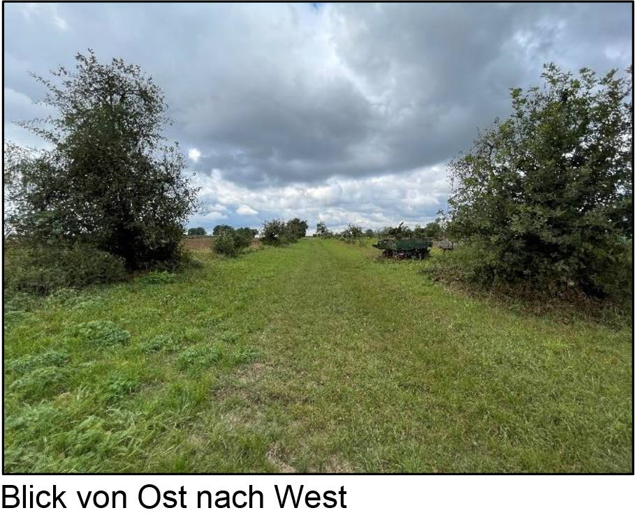 land- und forstwirtschaftlich genutztes Grundstück in auf dem Gleichen, 63486 Bruchköbel, Oberissigheim - Bild 2