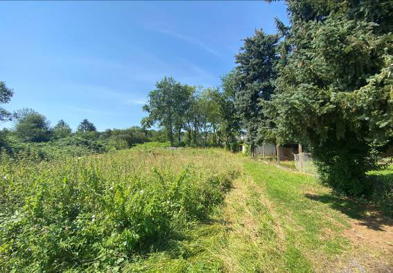 unbebaute Grün- bzw. Kleingartenfläche in Auf die Lachengräben, 63456 Hanau, Klein-Steinheim - Bild 2