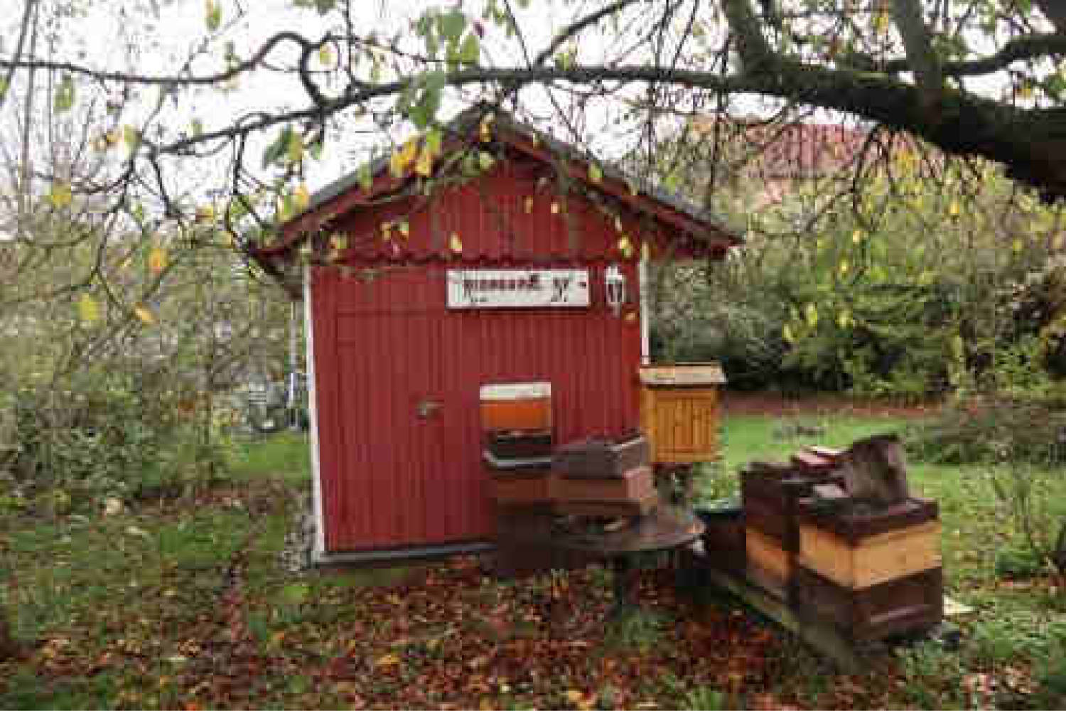 hessen 0042K0019/2021 Grunerstraße 48, 65510 Idstein 13