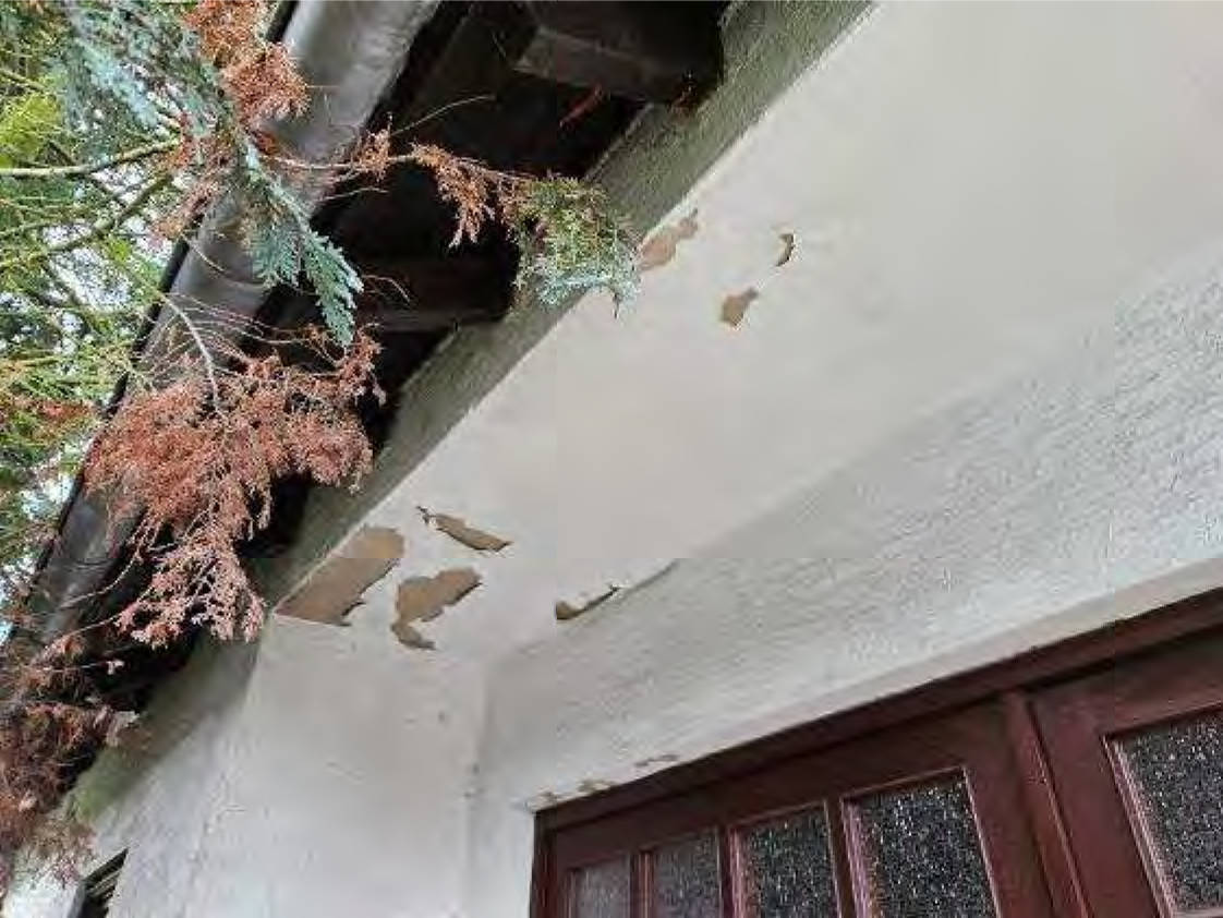 hessen 0042 K 0024/2024 Oberwaldstraße 6, 63538 Großkrotzenburg 9