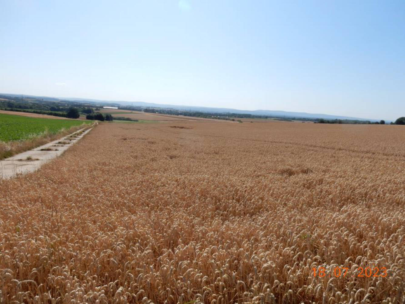 land- und forstwirtschaftlich genutztes Grundstück in Aufm gelben Berge, 61137 Schöneck, Kilianstädten - Bild 2