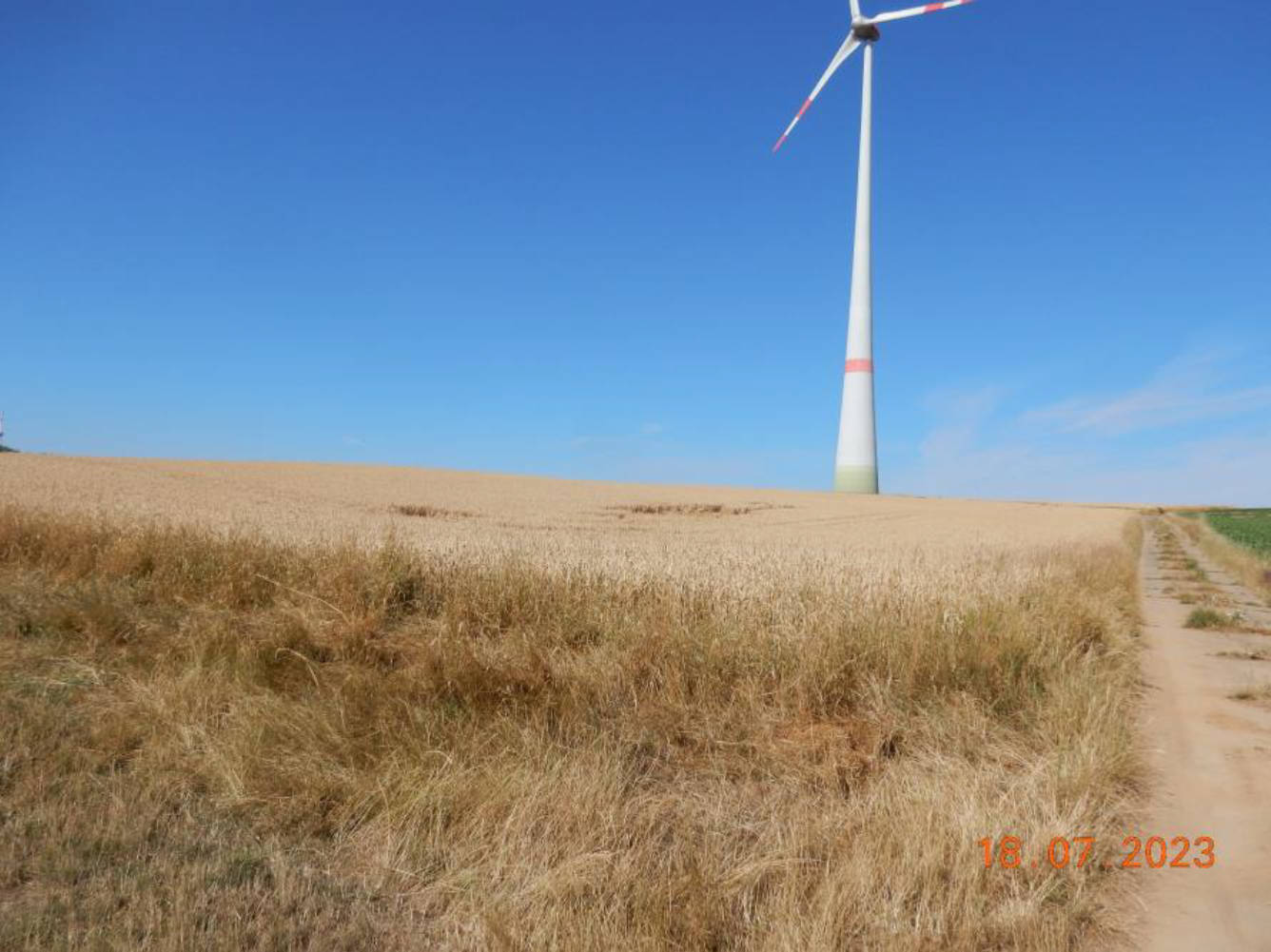 land- und forstwirtschaftlich genutztes Grundstück in Aufm gelben Berge, 61137 Schöneck, Kilianstädten - Bild 3