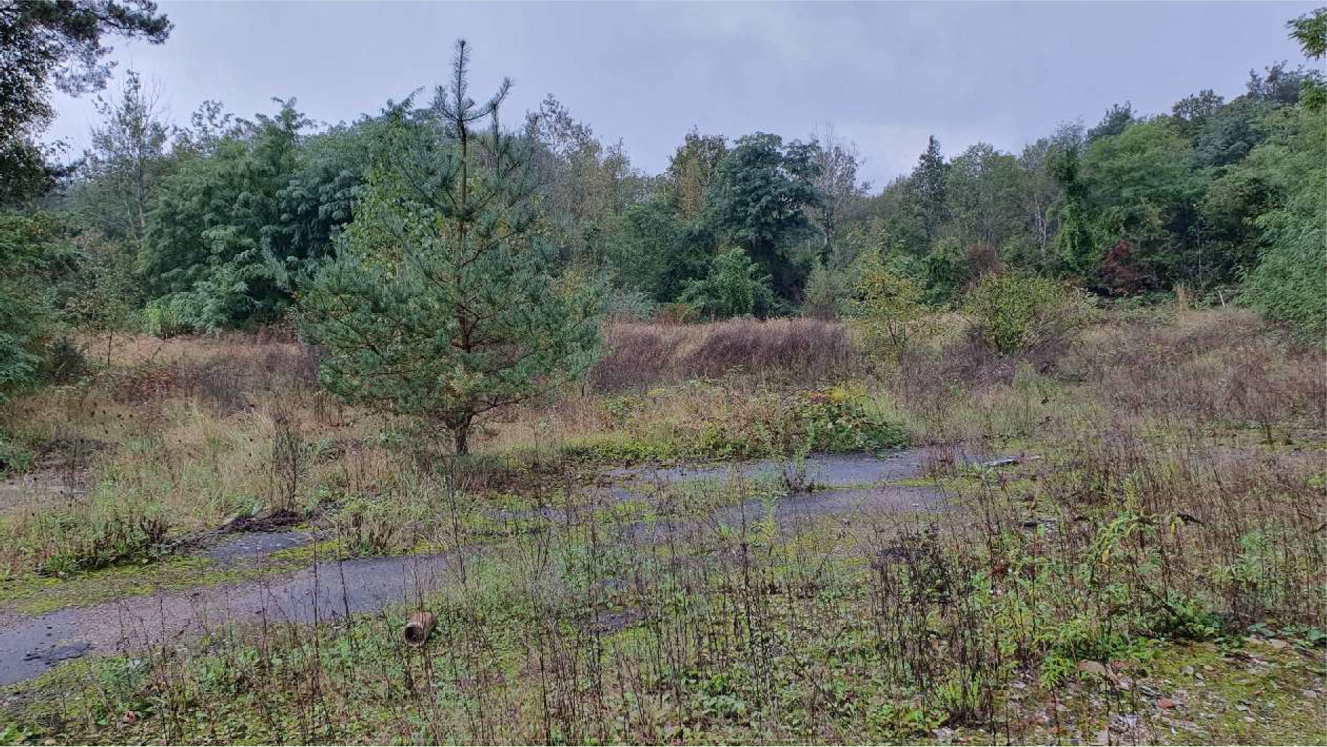 Sonstiges in Kesselstädter Str. 60, 63454 Hanau, Kesselstadt - Bild 5