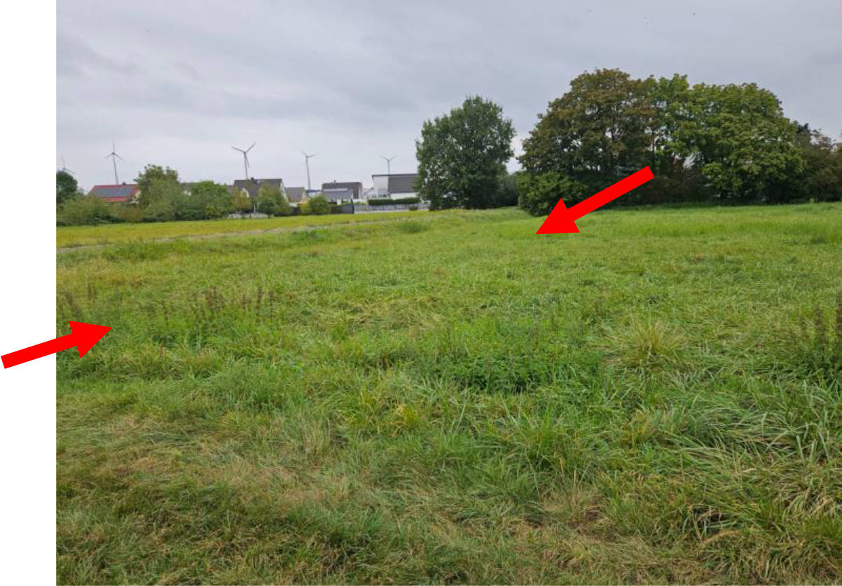 Grünland in das oberste Stück, 63454 Hanau, Mittelbuchen - Bild 3