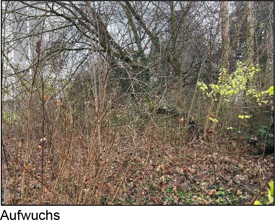 unbebautes Grundstück in Hochstädter Straße 32, 63477 Maintal, Bischofsheim - Bild 2