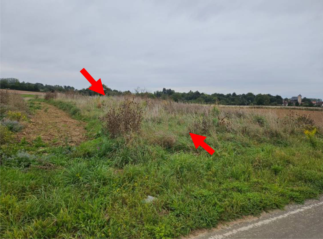 land- und forstwirtschaftlich genutztes Grundstück in In den Fünfzehn Morgen, 63454 Hanau, Mittelbuchen - Bild 3