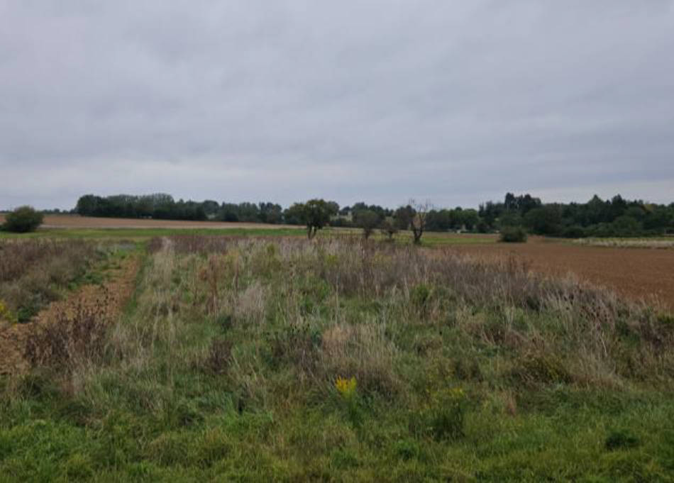 land- und forstwirtschaftlich genutztes Grundstück in In den Fünfzehn Morgen, 63454 Hanau, Mittelbuchen - Bild 4