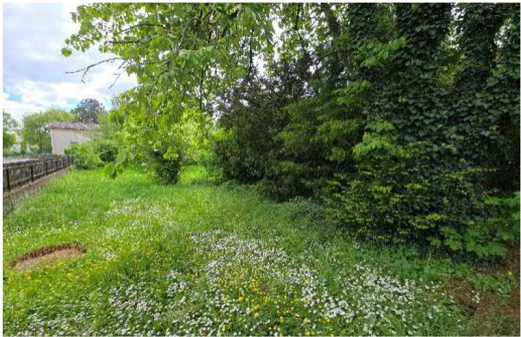 hessen 0042 K 0084/2024 Landwehrstraße 2, 63526 Erlensee, Langendiebach 12