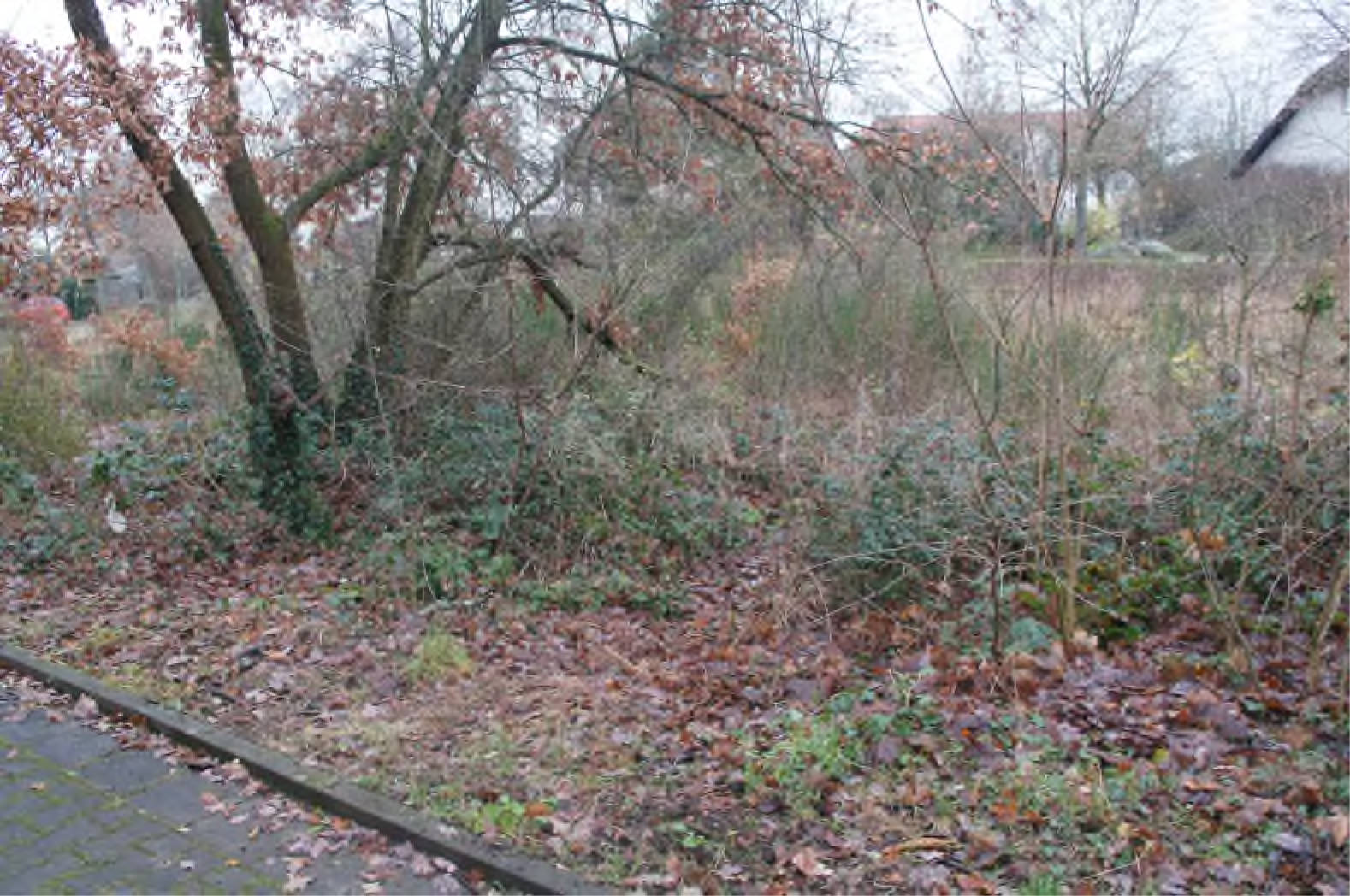hessen 0043K0002-2023 Kiefernweg , 65451 Kelsterbach