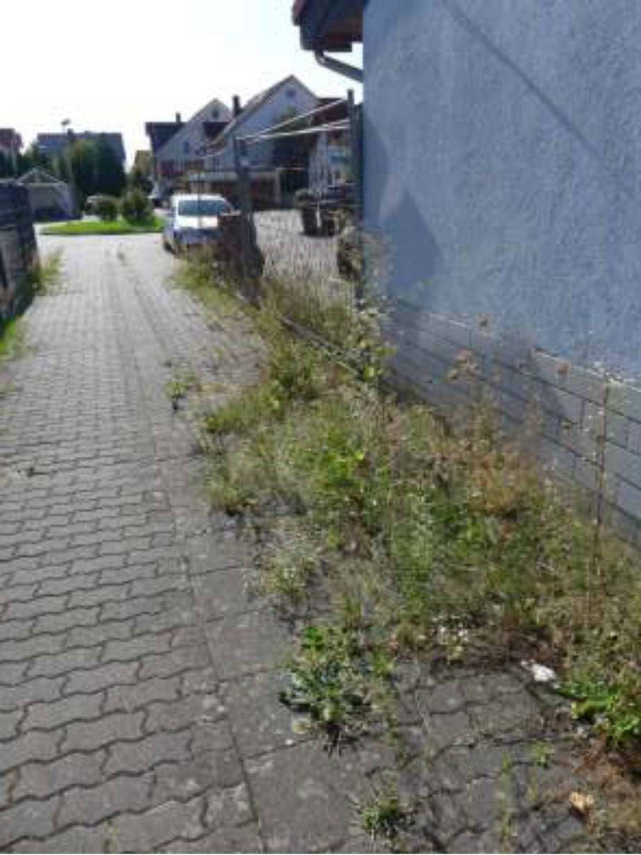 hessen 0043K0011/2024 Edith-Stein-Straße 13, 15, 63512 Hainburg, Klein-Krotzenburg 11