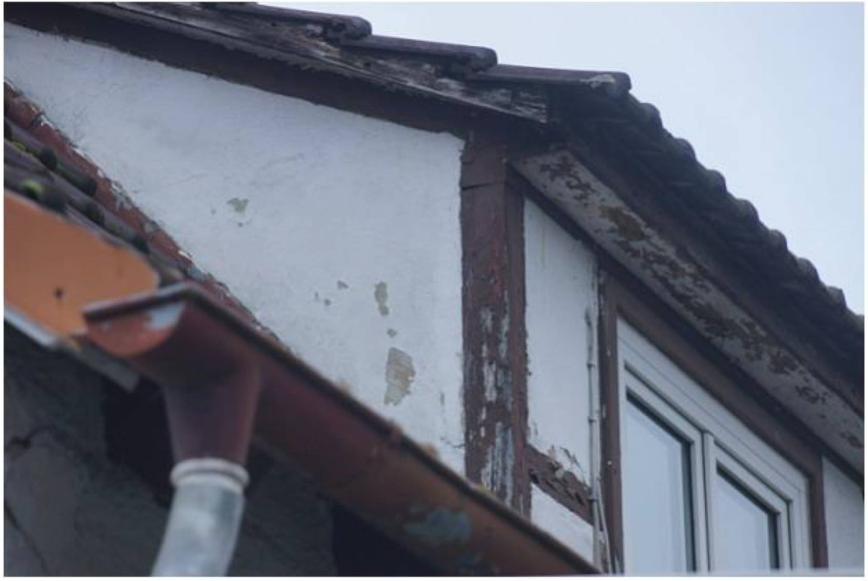 hessen 0043K0012-2024 Eichendorffstraße 6, 64653 Lorsch 11