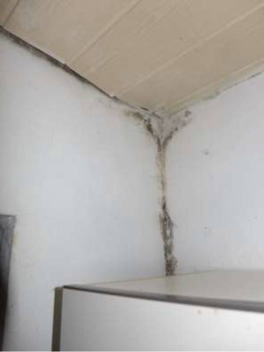 hessen 0043 K 0021/2024 Edith-Stein-Straße 13, 15, 63512 Hainburg, Klein-Krotzenburg 19