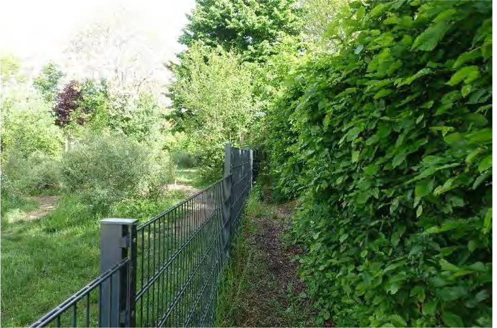 hessen 0061 K 0002/2025 Brunhildenstraße 2a-i, 65189 Wiesbaden 17