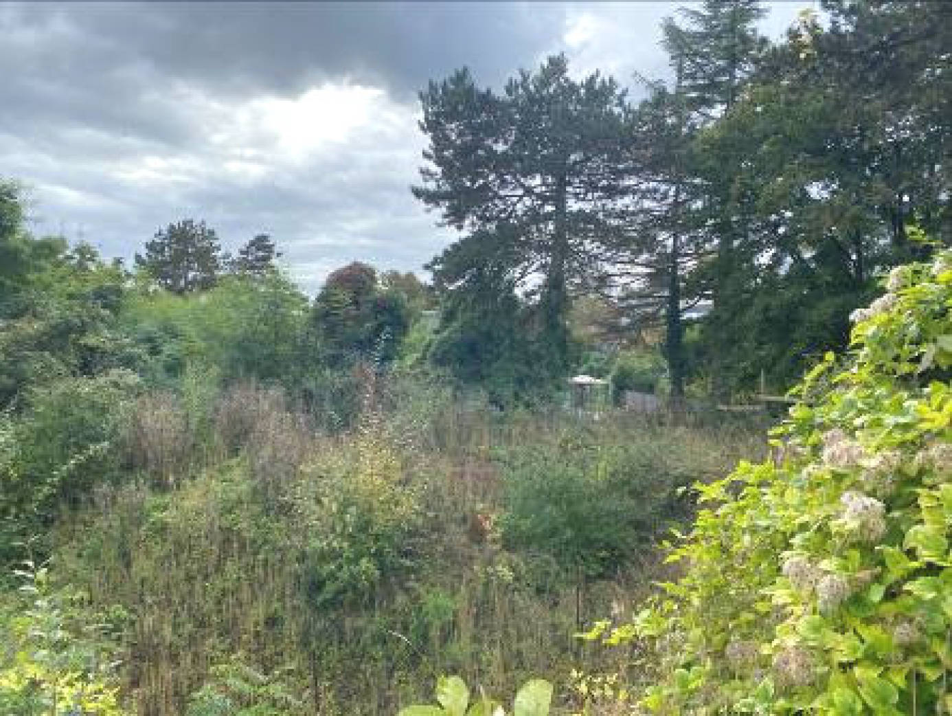 unbebautes Grundstück in Richard-Wagner-Straße 55, 55a , 65193 Wiesbaden - Bild 4