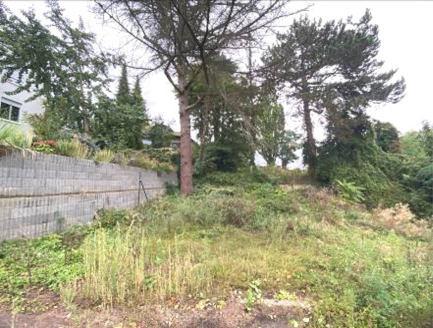 unbebautes Grundstück in Richard-Wagner-Straße 55, 55a , 65193 Wiesbaden - Bild 2