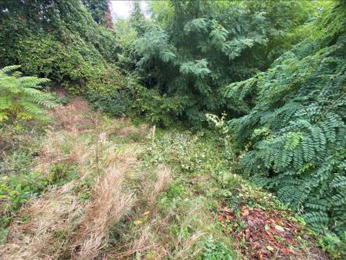 unbebautes Grundstück in Richard-Wagner-Straße 55, 55a , 65193 Wiesbaden - Bild 5