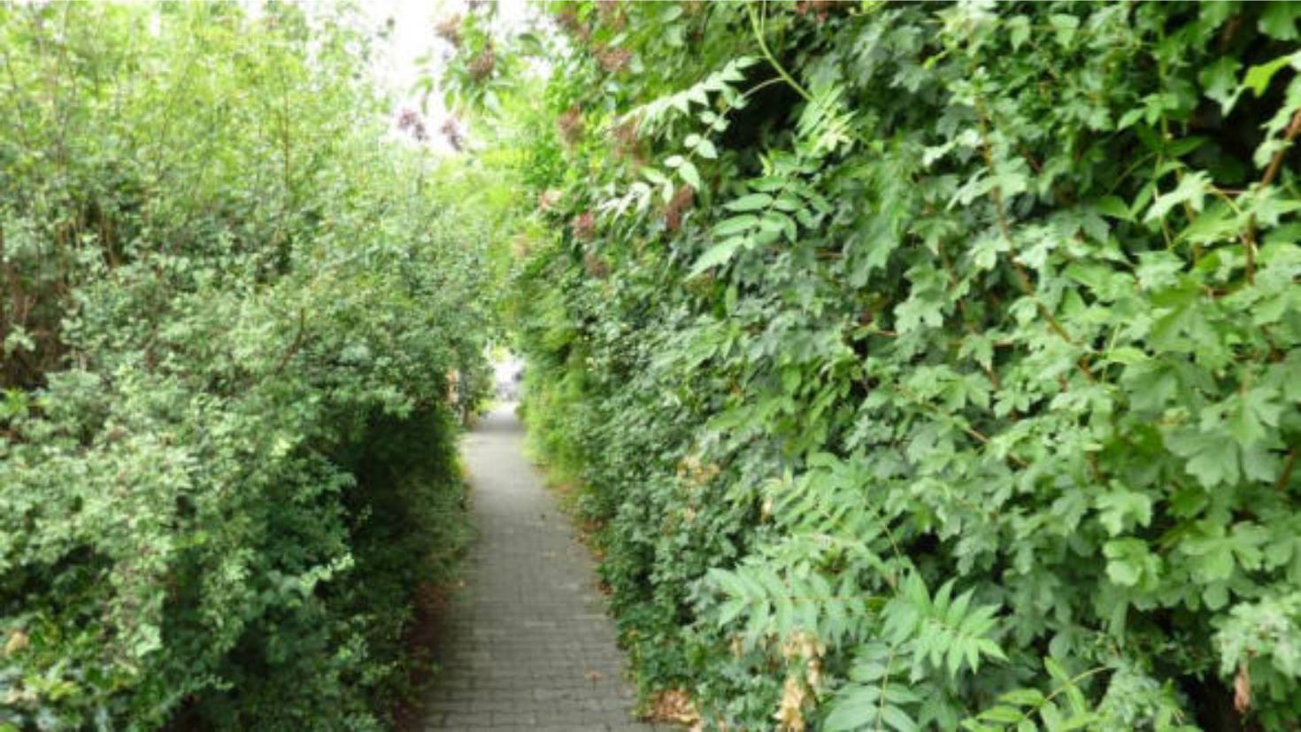 hessen 0061 K 0014/2025 Goethering 39, 65205 Wiesbaden, Nordenstadt 13