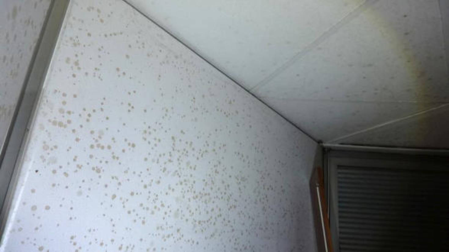 hessen 0061 K 0014/2025 Goethering 39, 65205 Wiesbaden, Nordenstadt 8