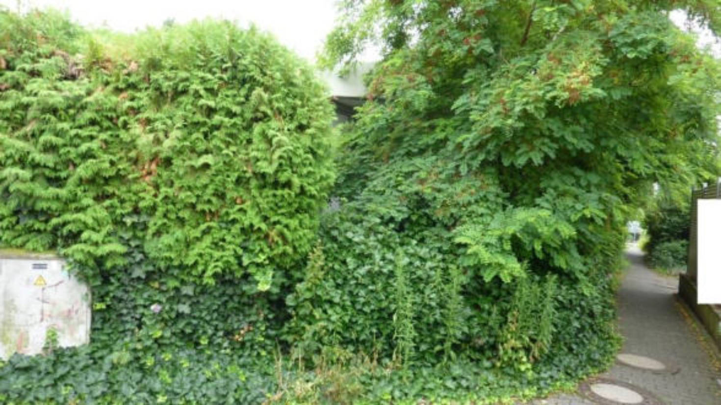 hessen 0061 K 0014/2025 Goethering 39, 65205 Wiesbaden, Nordenstadt 19