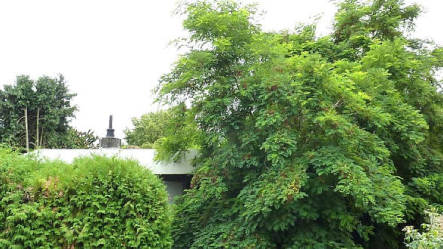 Einfamilienhaus in Goethering 39, 65205 Wiesbaden, Nordenstadt - Bild 4