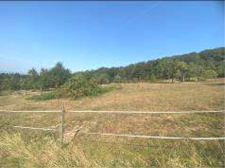 hessen 0061K0021-2024 Auf dem Schildlande, 65207 Wiesbaden, Breckenheim