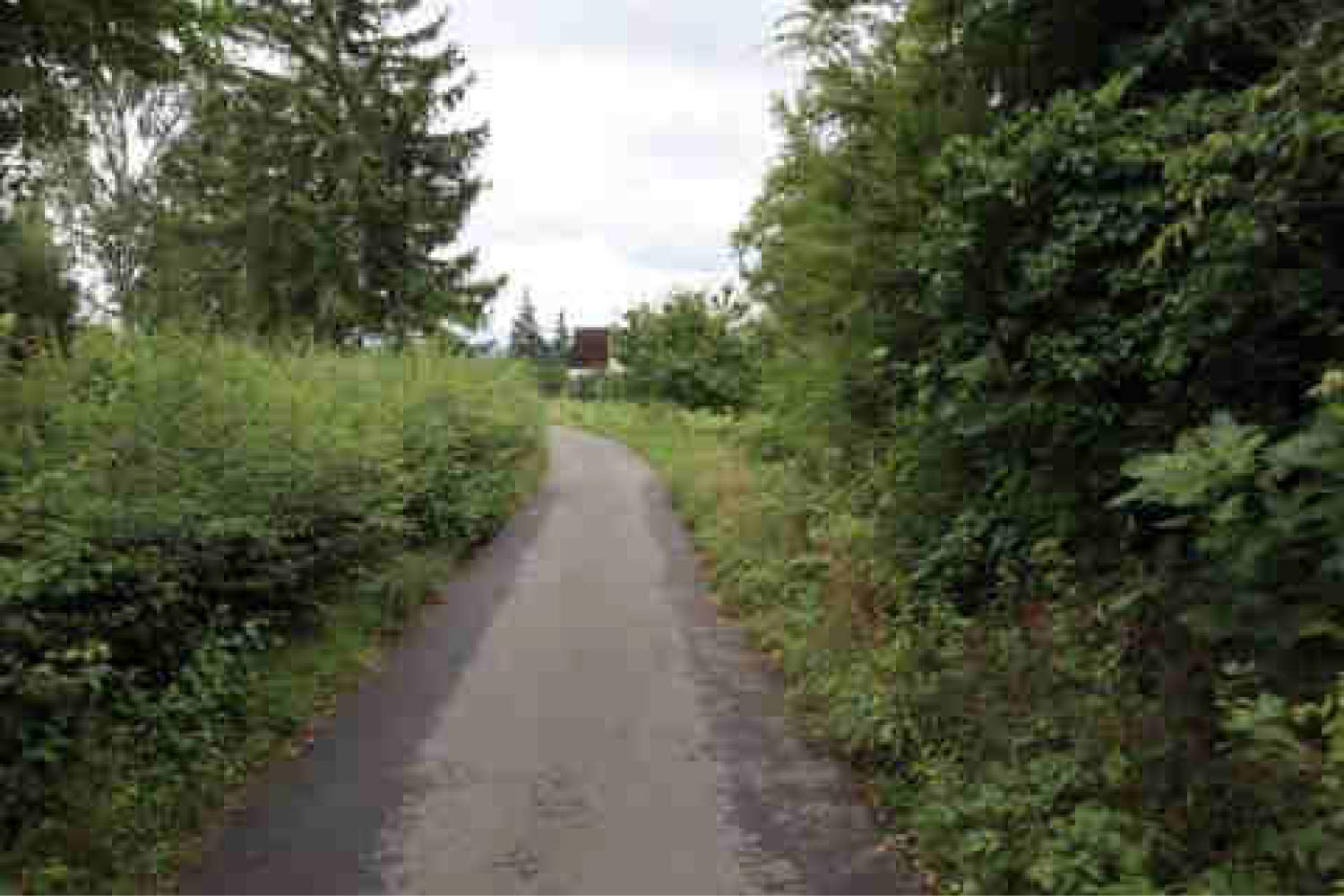 hessen 0061K0023-2024 Georgenborner Straße 20, 65201 Wiesbaden, Frauenstein 13