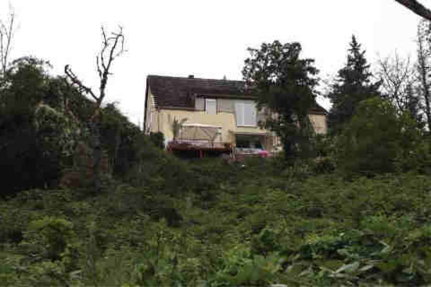 hessen 0061K0023-2024 Georgenborner Straße 20, 65201 Wiesbaden, Frauenstein 11