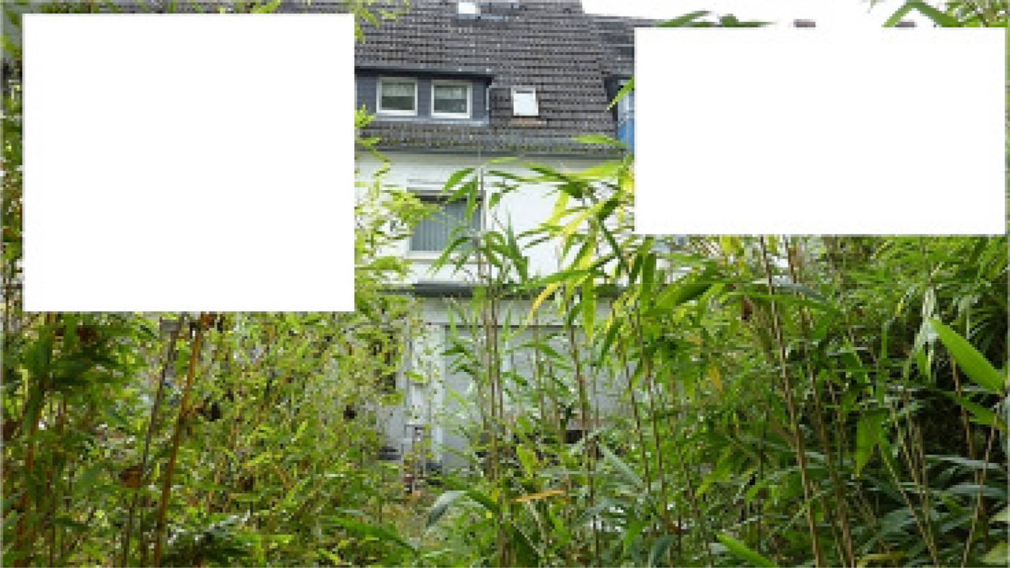 hessen 0061K0025-2023 Birkenstraße  39, 65187 Wiesbaden, Biebrich 12