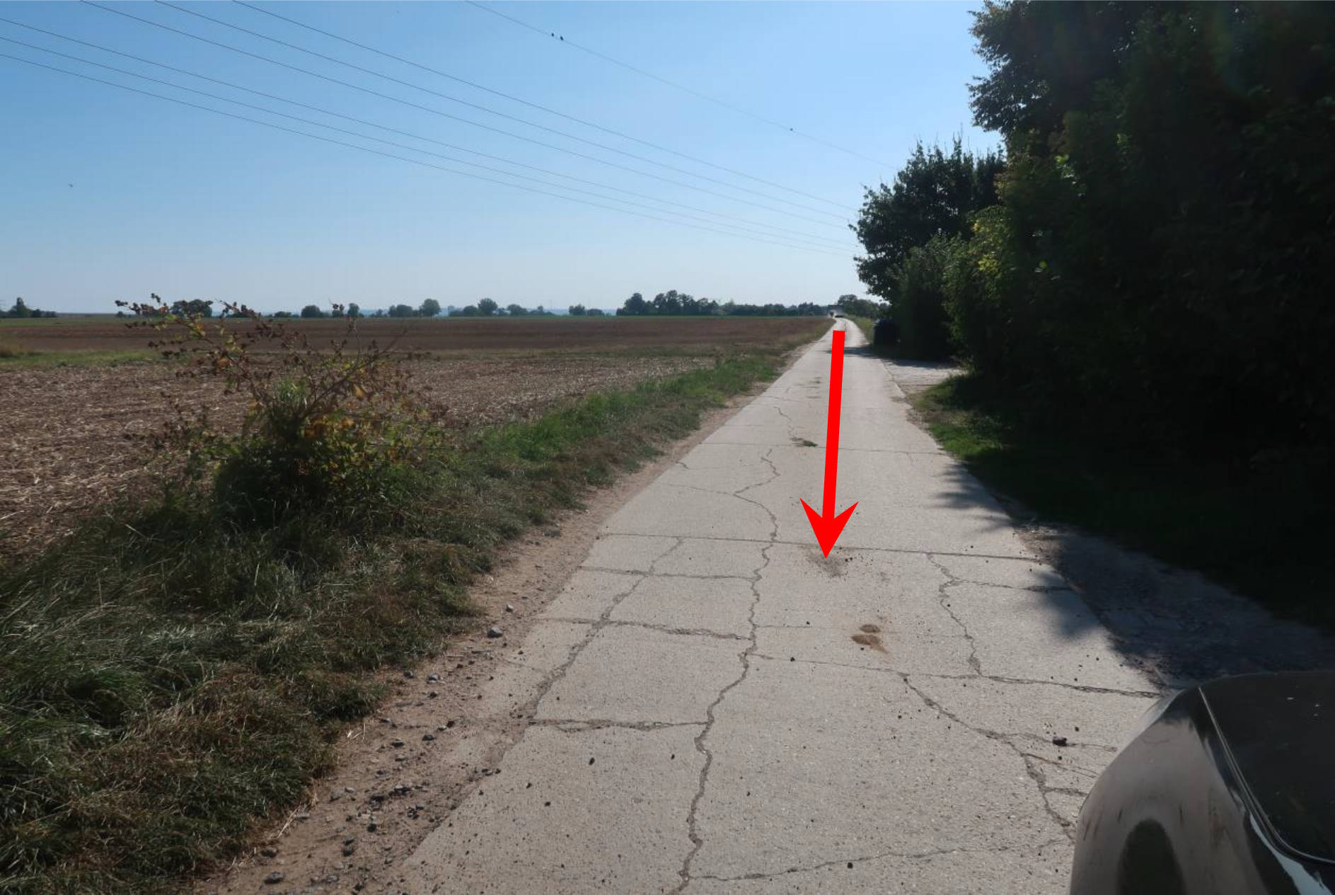 land- und forstwirtschaftlich genutztes Grundstück in Ackerland, Strenge Erd, 00000 Massenheim - Bild 2