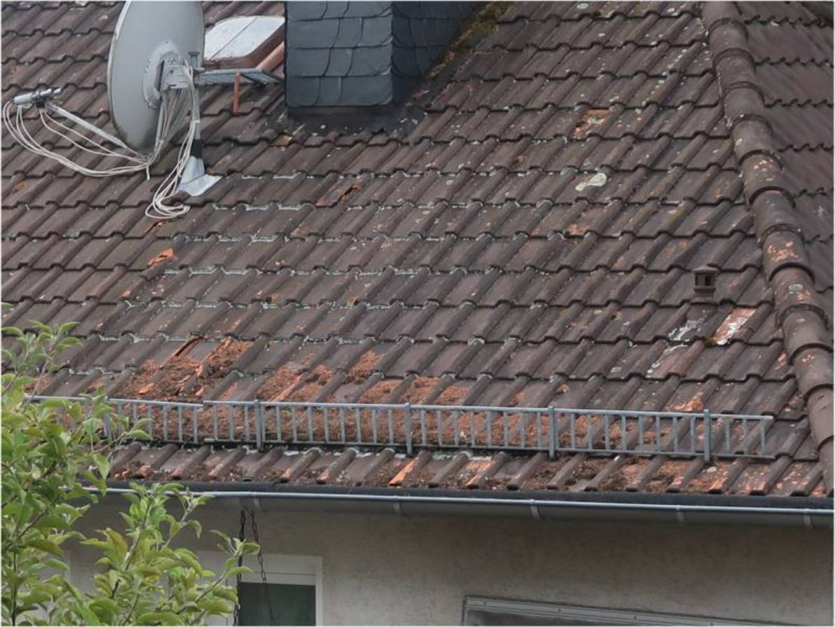 hessen 0061K0029-2023 Amselberg 22, 65191 Wiesbaden 7