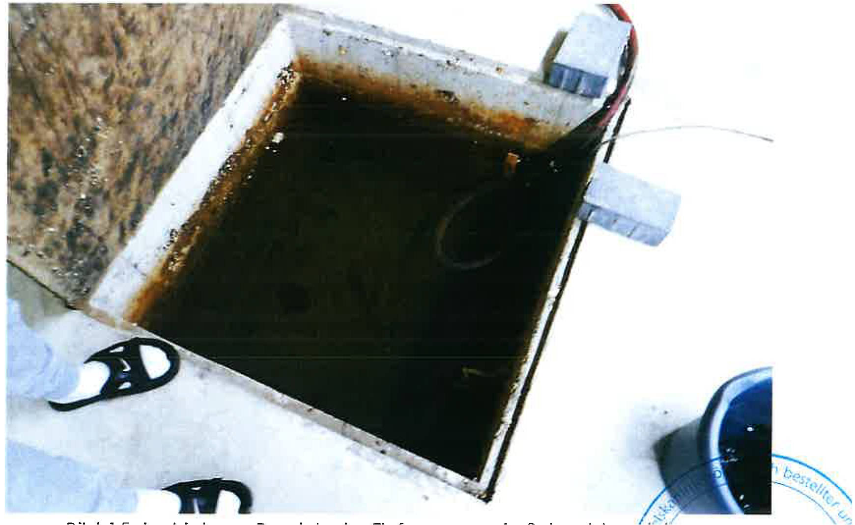 Mehrfamilienhaus in Bürgermeister-Lang-Straße  13, 64319 Pfungstadt - Bild 5