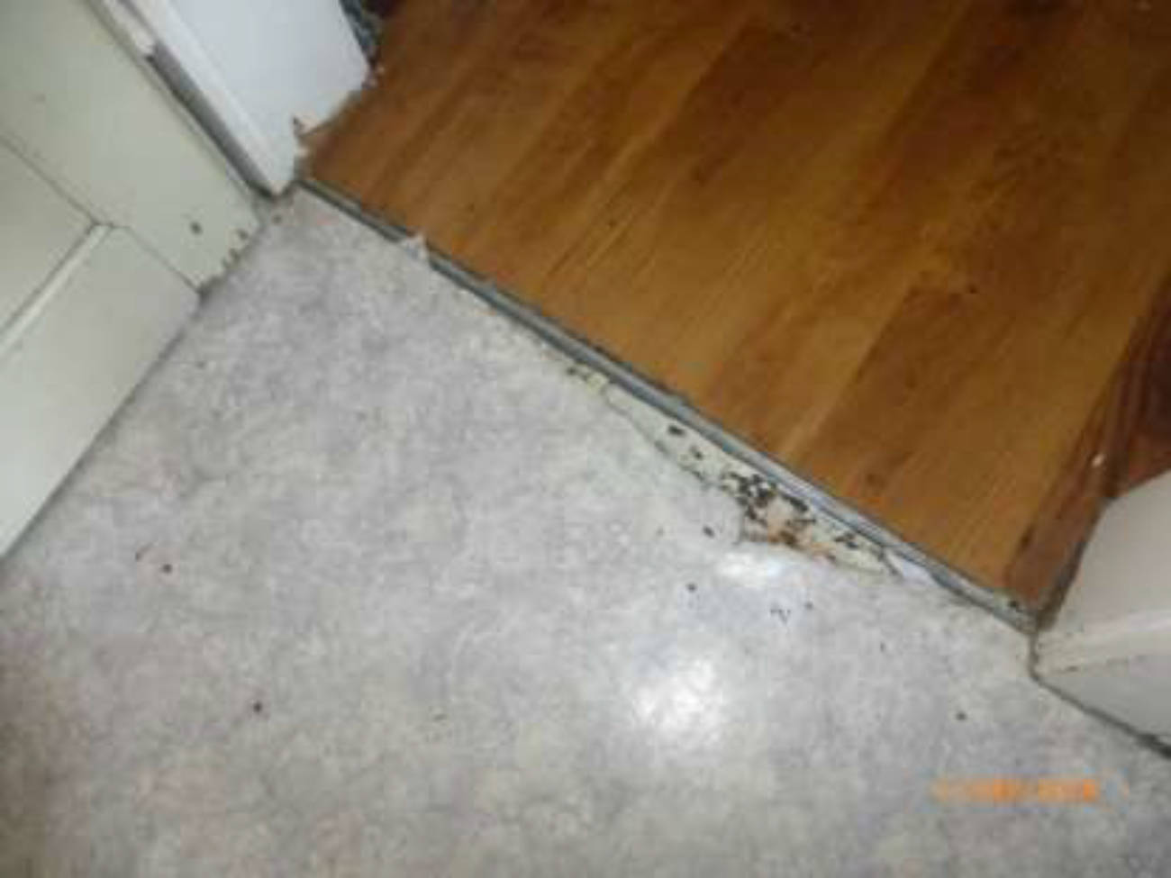 hessen 0061 K 0045/2023 Bahnstraße 34, 64390 Erzhausen 22