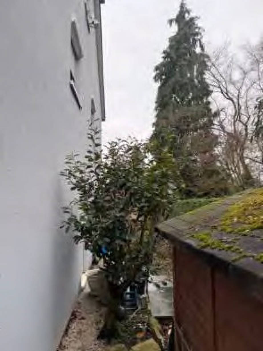 Einfamilienhaus in Bornhohl  58, 61449 Steinbach - Bild 3