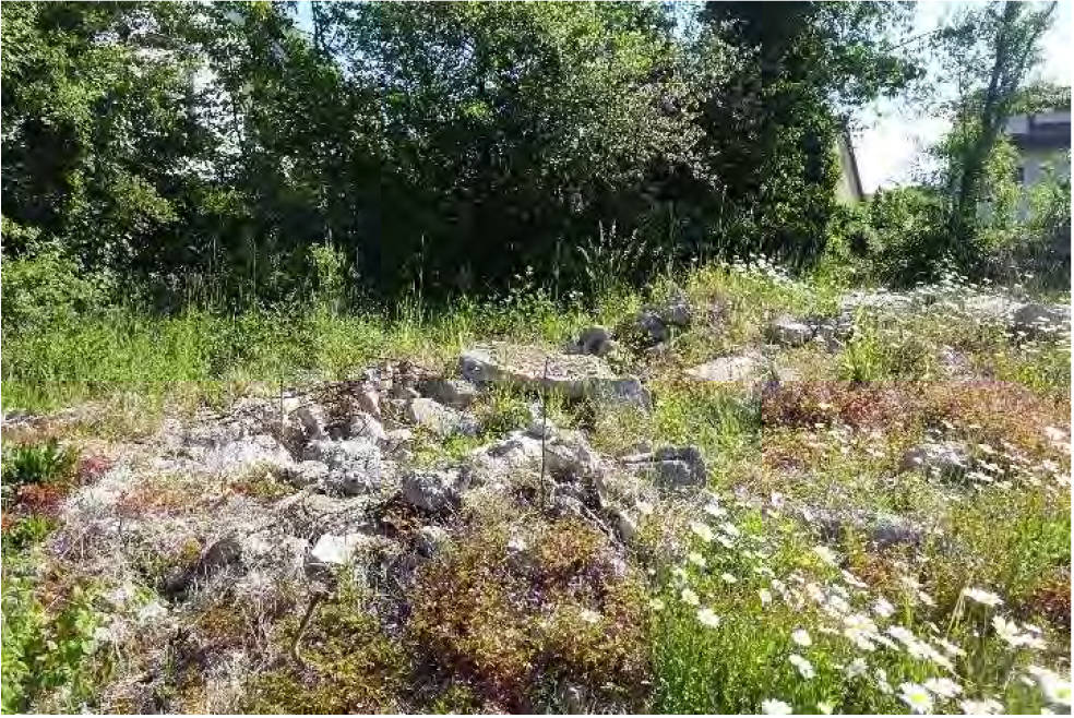 hessen 0061 K 0056/2024 Oberbergstraße 18,18a, 18b,18c, 65207 Wiesbaden, Medenbach 13