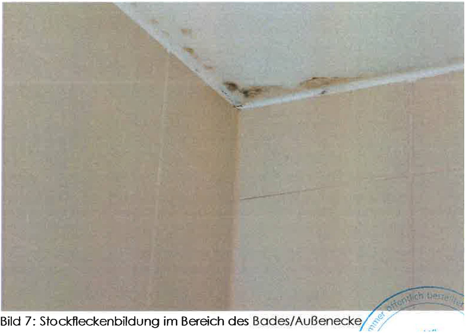 hessen 0061K0057-2024 Wirthumsgarten 49, 64319 Pfungstadt 7