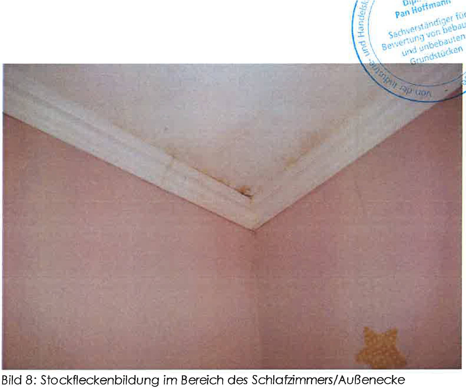 hessen 0061K0057-2024 Wirthumsgarten 49, 64319 Pfungstadt 6