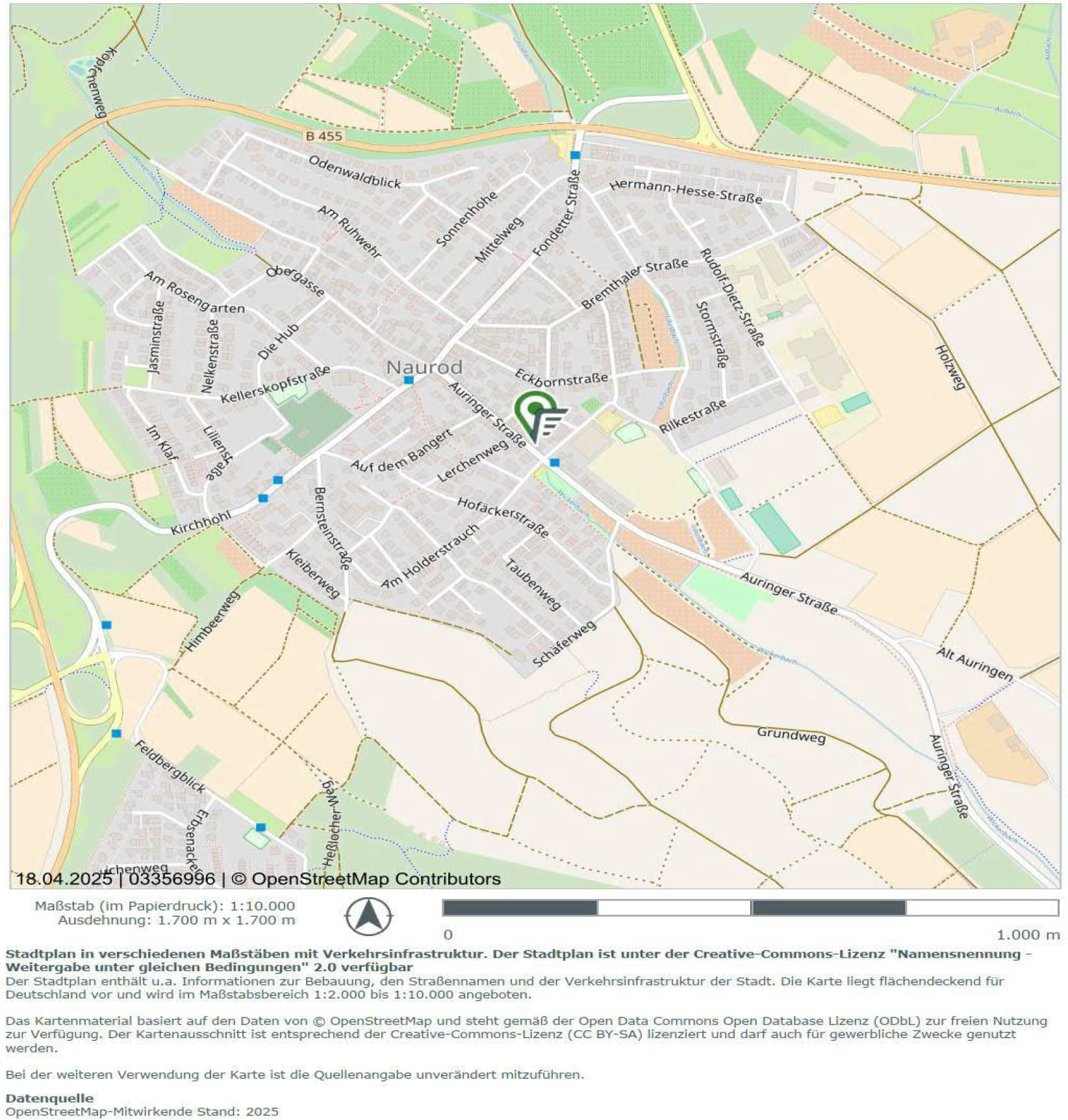 hessen 0061 K 0072/2024 Auringer Straße 38, 65207 Wiesbaden, Naurod 18