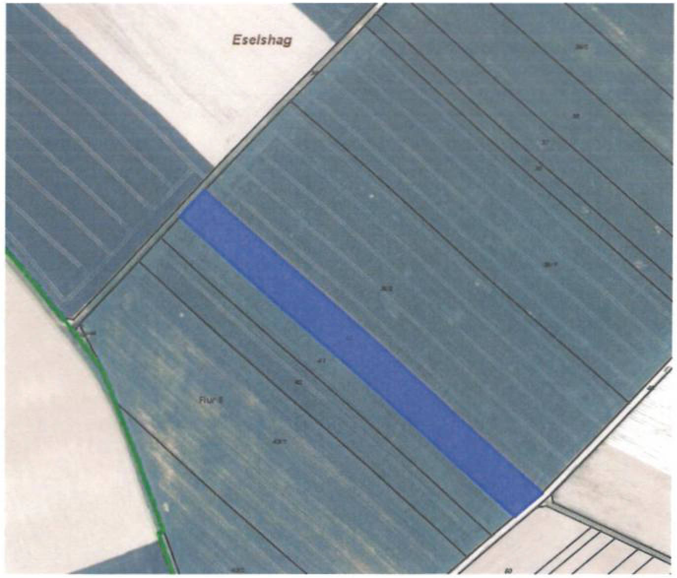 land- und forstwirtschaftlich genutztes Grundstück in Eselshag, 61200 Wölfersheim, Södel - Bild 5