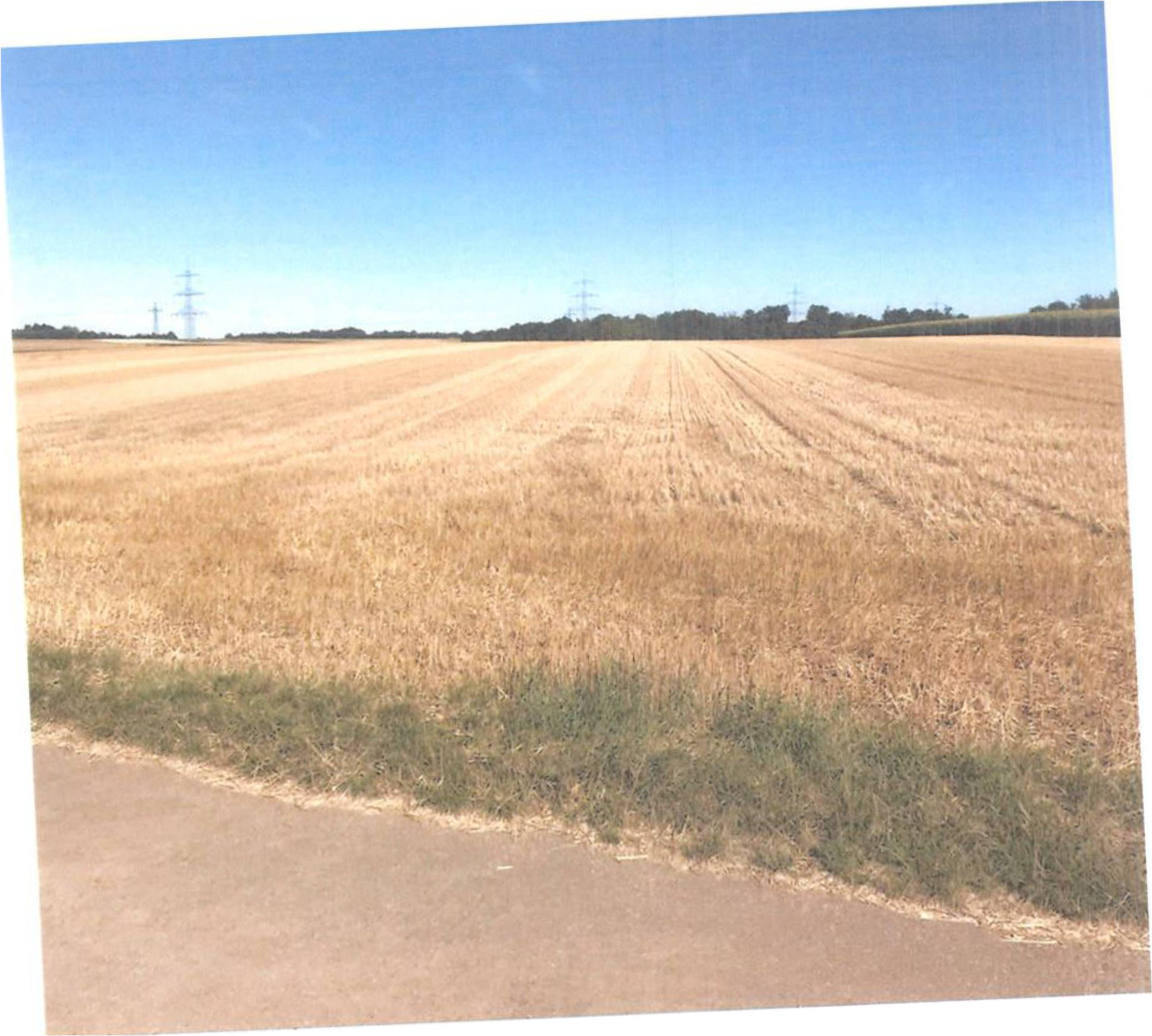 land- und forstwirtschaftlich genutztes Grundstück in Eselshag, 61200 Wölfersheim, Södel - Bild 2