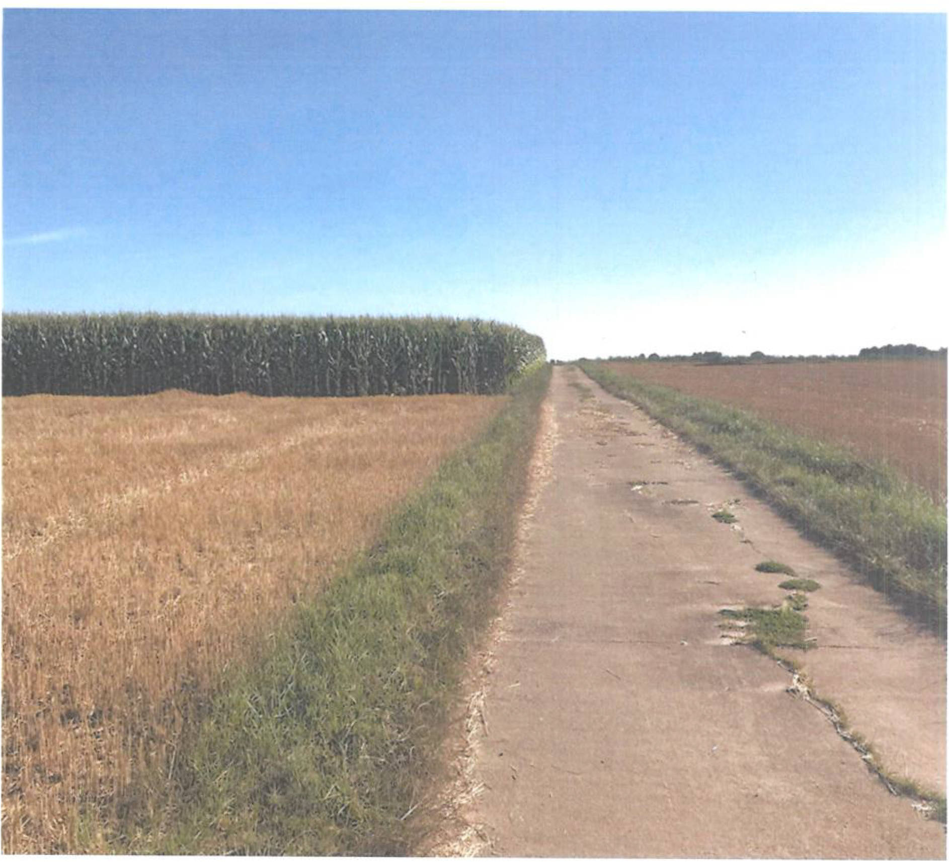 Eselshag, 61200 Wölfersheim, Södel