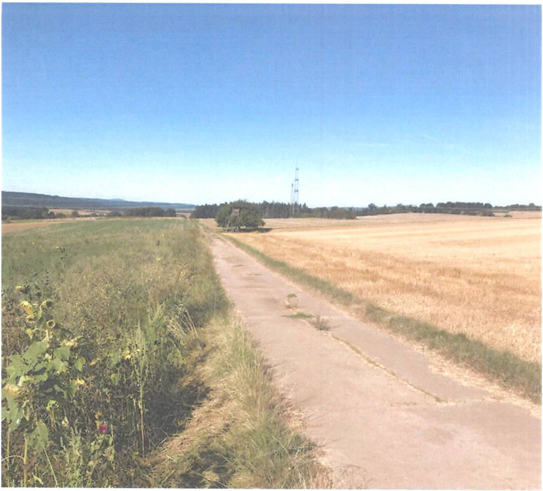 land- und forstwirtschaftlich genutztes Grundstück in Eselshag, 61200 Wölfersheim, Södel - Bild 3