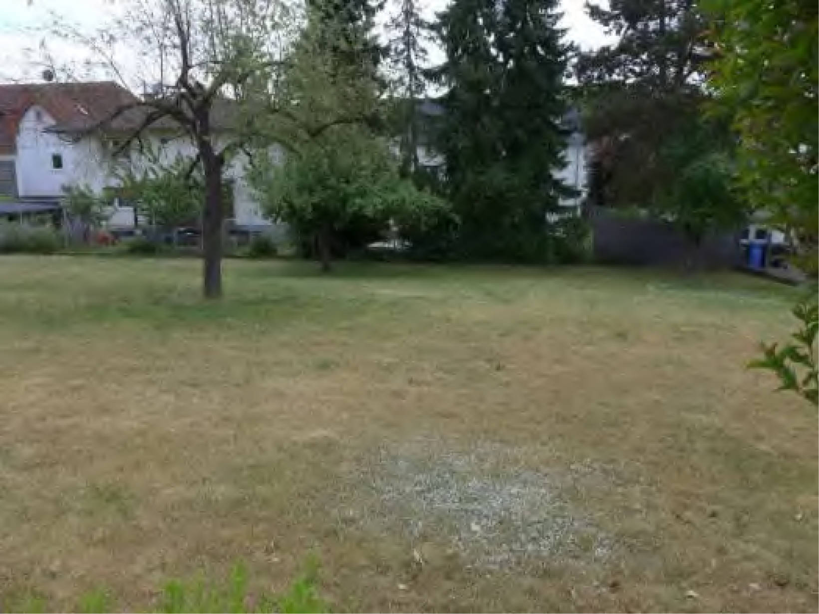 hessen 0063 K 0012/2025 Frankfurter Straße  106 a, 61231 Bad Nauheim, Nieder-Mörlen 16